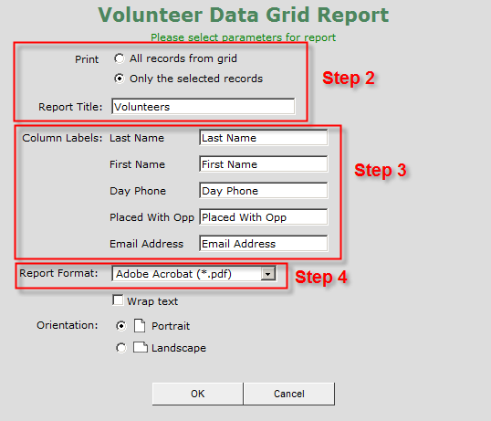 Reporting process with an out-of-the-box JavaScript data grid